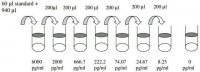 Rat IL-10 ELISA Kit RAB0247-1KT