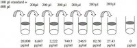 Rat IL-13 ELISA Kit RAB0258-1KT