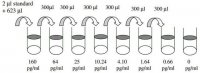 Rat IL-4 ELISA Kit RAB0301-1KT