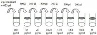 Rat IL-4 ELISA Kit RAB0302-1KT