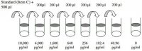 Rat Interleukin-6 ELISA Kit RAB0312-1KT
