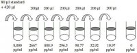 Rat Leptin ELISA Kit RAB0335-1KT