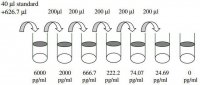 Rat LIX / CXCL5 ELISA Kit RAB0132-1KT