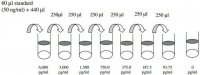 Rat PDGF-AA ELISA Kit RAB0395-1KT