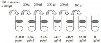 Rat Tumor Necrosis Factor ELISA Kit RAB0479-1KT