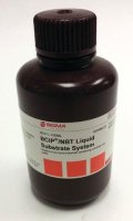 BCIP/NBT Liquid Substrate System B1911-100ML