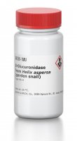-Glucuronidase from Helix aspersa (garden snail) 