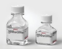 Fast -Glucuronidase, Recombinant 