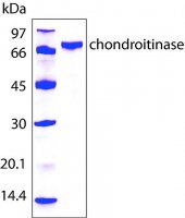 Chondroitinase AC from Flavobacterium heparinum 