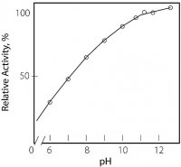 Protease from Streptomyces sp. 