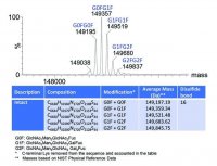 SILuLite SigmaMAb Bevacizumab Monoclonal Antibody 