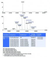 SILuLite SigmaMAb Cetuximab Monoclonal Antibody 