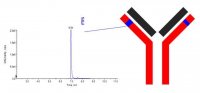 SILuMAb Bevacizumab Stable-Isotope Labeled Monoclonal Antibody 
