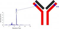 SILuMAb Nivolumab Stable-Isotope Labeled Monoclonal Antibody 
