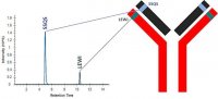 SILuMAb Vedolizumab Stable-Isotope Labeled Monoclonal Antibody 