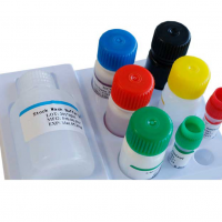     Elisa Human 96T/48T Biobase
