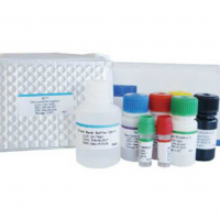     Elisa Human 96T/48T Biobase