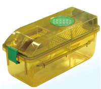        BCR-I IVC Shinva