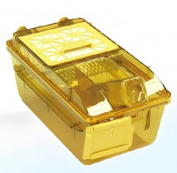        BCR-I IVC Shinva