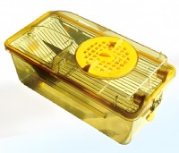        BCR-I IVC Shinva