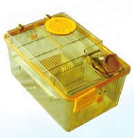        BCR-I IVC Shinva